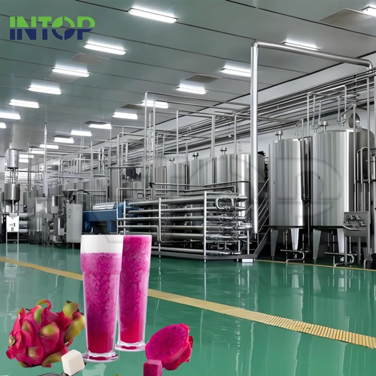 Dragon Fruit Juice-ის წარმოების ხაზი
